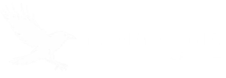 Raven Media Logo
